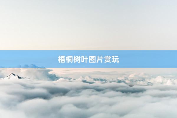 梧桐树叶图片赏玩